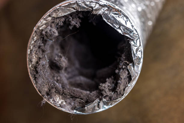 Best Affordable Air Duct Cleaning  in Meridian, TX