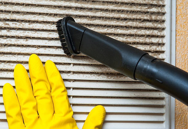 Best Duct Cleaning for Homes  in Meridian, TX